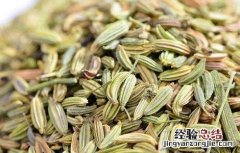 小茴香的功效与作用 大茴香的功效与作用