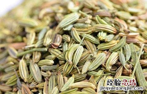 小茴香的功效与作用 大茴香的功效与作用