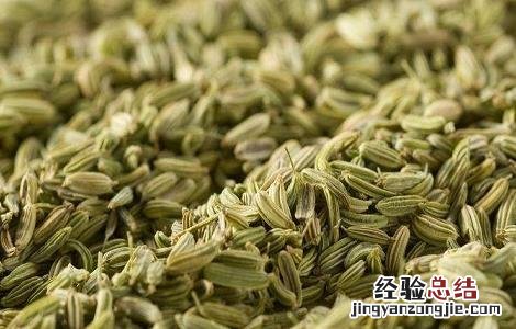 小茴香的功效与作用 大茴香的功效与作用