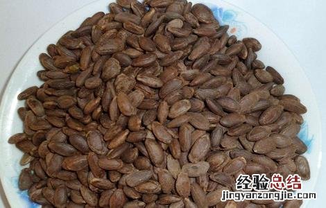 瓜蒌子的功效与作用和主治 瓜蒌子的功效与作用