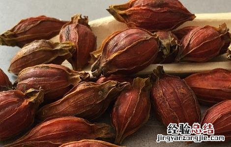 栀子的功效与作用 栀子的功效与作用及副作用