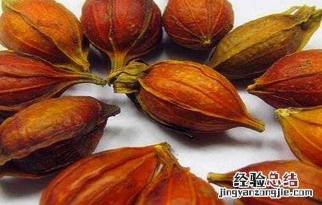 栀子的功效与作用 栀子的功效与作用及副作用