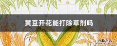 黄豆开花可以用人工除草吗 黄豆开花能打除草剂吗
