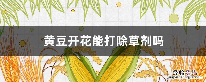 黄豆开花可以用人工除草吗 黄豆开花能打除草剂吗