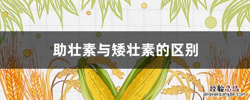 助壮素是什么 助壮素与矮壮素的区别
