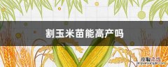 玉米苗剪了能高产吗 割玉米苗能高产吗