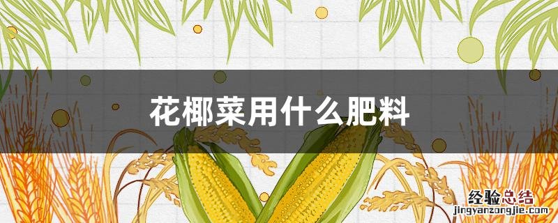 花椰菜用什么肥料好 花椰菜用什么肥料