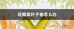 花椰菜叶子卷怎么办 花椰菜叶子卷起来是什么病