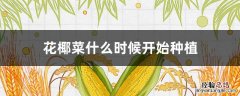 花椰菜什么时候开始种植 花椰菜几月种植