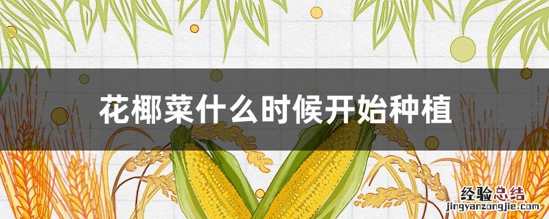 花椰菜什么时候开始种植 花椰菜几月种植