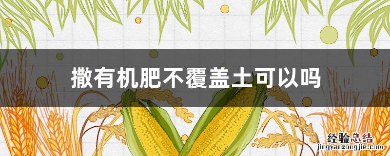 撒有机肥不覆盖土可以吗 有机肥可以直接撒土上当肥料用吗