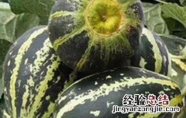 冰糖瓜子做法 冰糖子瓜怎么吃