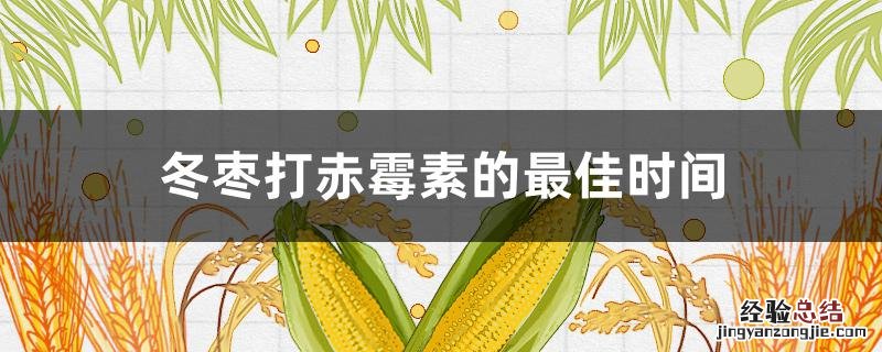 赤霉素在冬枣上的药效有多长时间 冬枣打赤霉素的最佳时间
