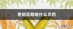 枣树初花期喷什么药 枣树花期喷什么农药