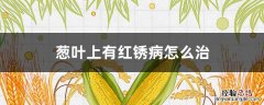 葱叶上有红锈病怎么治 葱叶上有红锈病怎么治疗