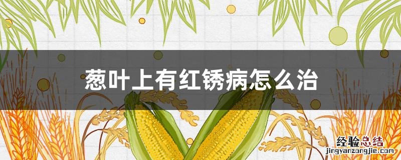 葱叶上有红锈病怎么治 葱叶上有红锈病怎么治疗