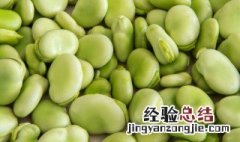 蚕豆怎么保存时间长 油炸蚕豆怎么保存时间长