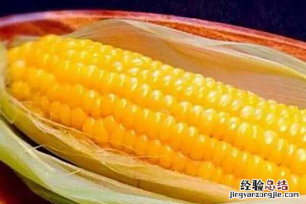夏玉米成熟期多少天 夏玉米生育期时间表,各阶段多少天