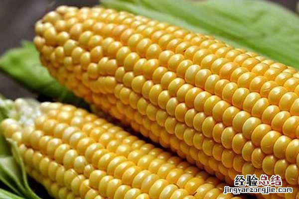 夏玉米成熟期多少天 夏玉米生育期时间表,各阶段多少天