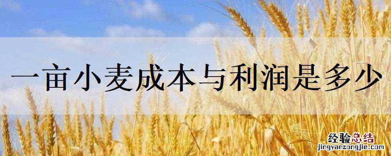 小麦每亩成本是多少 一亩小麦成本与利润是多少