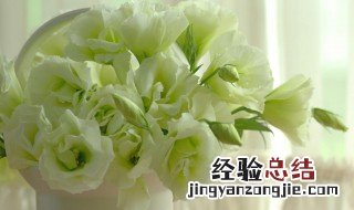 洋桔梗插花怎么养殖 洋桔梗插花怎么养