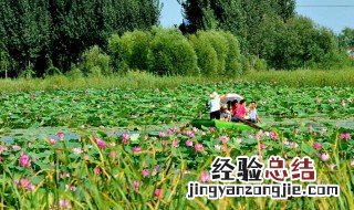 衡水有什么好玩的景点 衡水市有什么好玩的景点