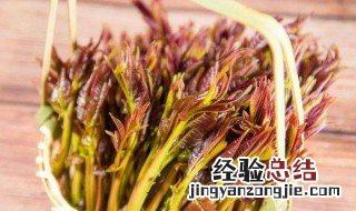 吃香椿有什么好处和坏处 吃香椿的好处和坏处介绍
