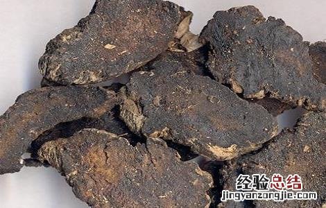 地黄泡水喝的功效与作用 地黄泡水喝的功效与作用