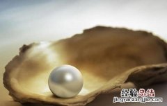 珍珠的功效与作用 珍珠的功效与作用用量