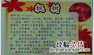 三年级植物记录卡怎么写 三年级植物记录卡这样写简单又全面