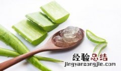 每天用芦荟胶的危害 盘点每天用芦荟胶的危害