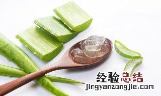 每天用芦荟胶的危害 盘点每天用芦荟胶的危害