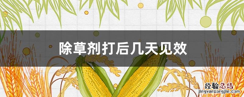 除草剂几天后见效果 除草剂打后几天见效