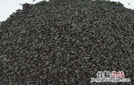 韭菜子泡酒的功效与制作方法 韭菜子泡酒的功效与制作方法窍门