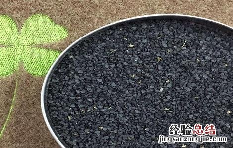 韭菜子泡酒的功效与制作方法 韭菜子泡酒的功效与制作方法窍门