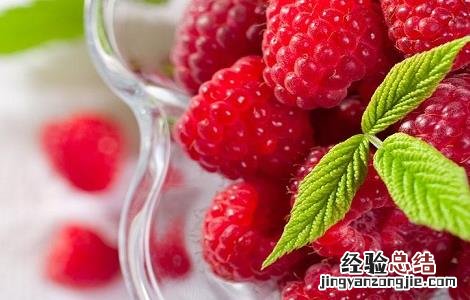 树莓的功效与作用 树莓的功效与作用禁忌