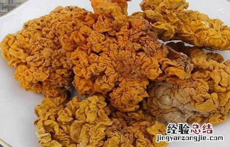 黄木耳的功效与作用 白木耳和黄木耳功效是一样的吗?