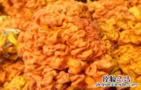 黄木耳的功效与作用 白木耳和黄木耳功效是一样的吗?