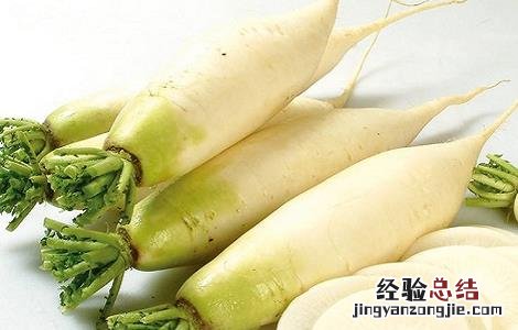 枯萝卜的副作用 枯萝卜的功效与作用