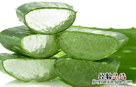 芦荟泡水喝的作用 芦荟泡水喝的功效与方法及禁忌