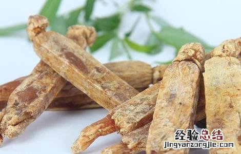 高丽参的功效与作用吃法与禁忌 高丽参的功效与作用