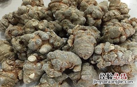 田七的功效与作用简介 田七的的功效与作用及食用方法