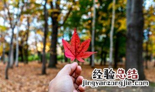 三秋是指多长时间 一日三秋是指多长时间