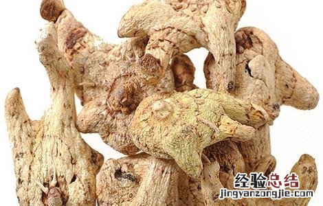 白及的功效与作用点的功效与作用禁忌 白及的功效与作用