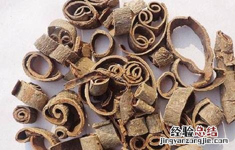 厚朴的功效与作用 厚朴的功效与作用禁忌