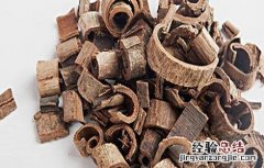 厚朴的功效与作用 厚朴的功效与作用禁忌