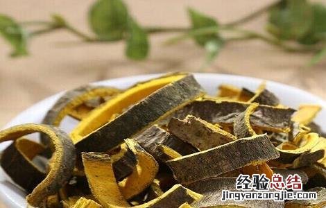 黄柏的功效与作用 黄柏的功效与作用图片