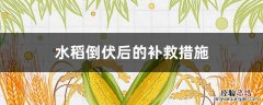 水稻倒伏后的补救措施有哪些 水稻倒伏后的补救措施