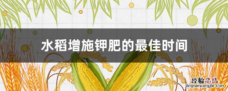 水稻增施钾肥的最佳时间几月份 水稻增施钾肥的最佳时间