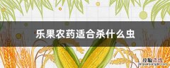 乐果农药适合杀什么虫敌 乐果农药适合杀什么虫